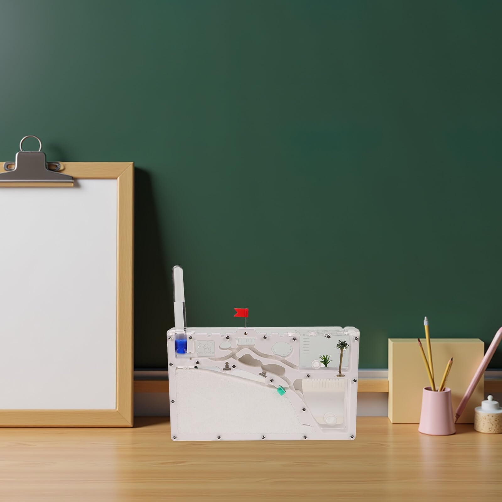 ifundom Przezroczysty Ant Terrarium Edukacyjny Do Obserwacji Przyrody Dla Chłopiec Dziewczynka Ekologiczny Domek Owady Do Naukowych Eksperymentów