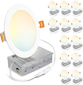 2 Inch LED Downlight, Recessed Lighting Dimmable Ceiling Light, 3W, 4000K Natural White, CRI80 With LED Driver(35W Halogen Equivalent), 1 Pack