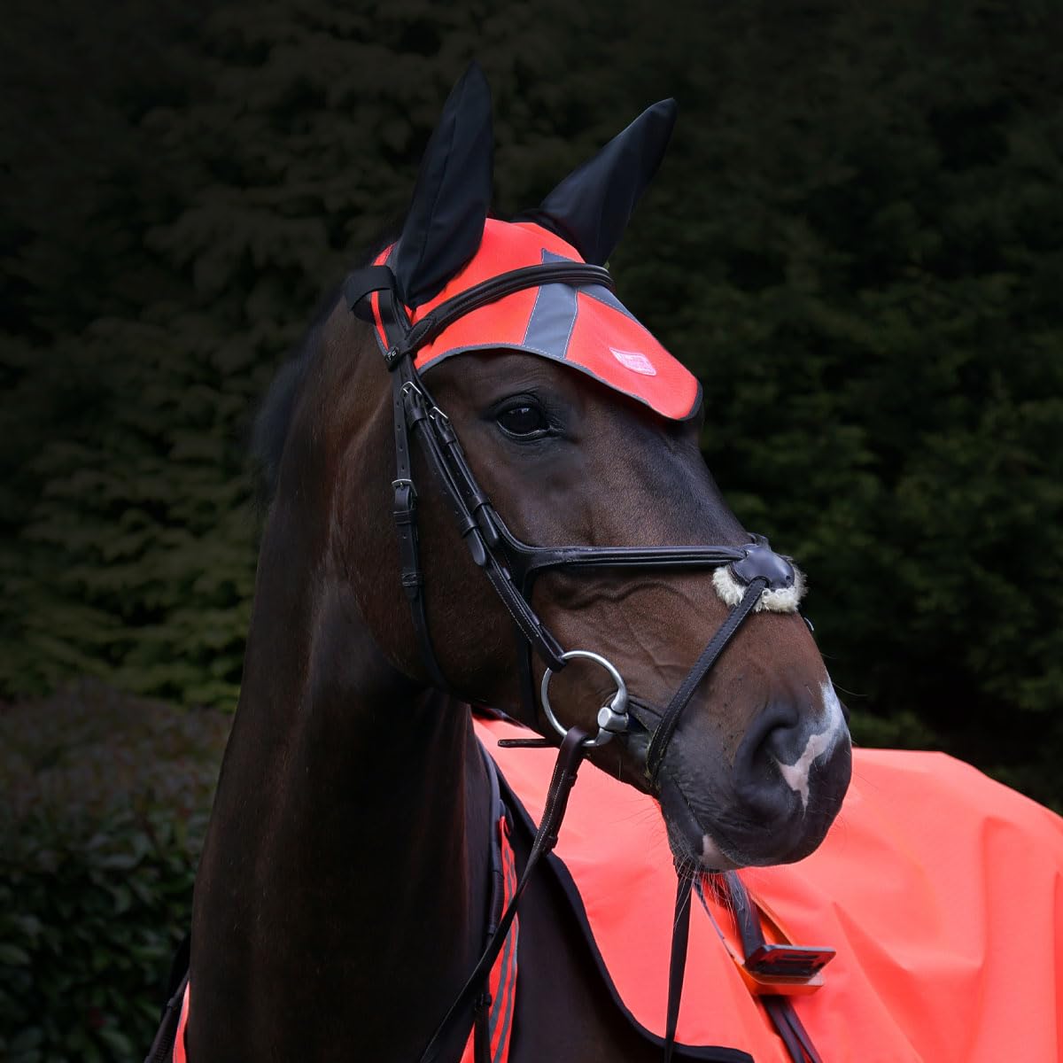 Masta High-Viz Fly Veil - Breathable and Lightweight Equestrian Safety Gear with Reflective Strips - Secure Hook and Loop Fastening for Comfortable Fit - Orange - FULL