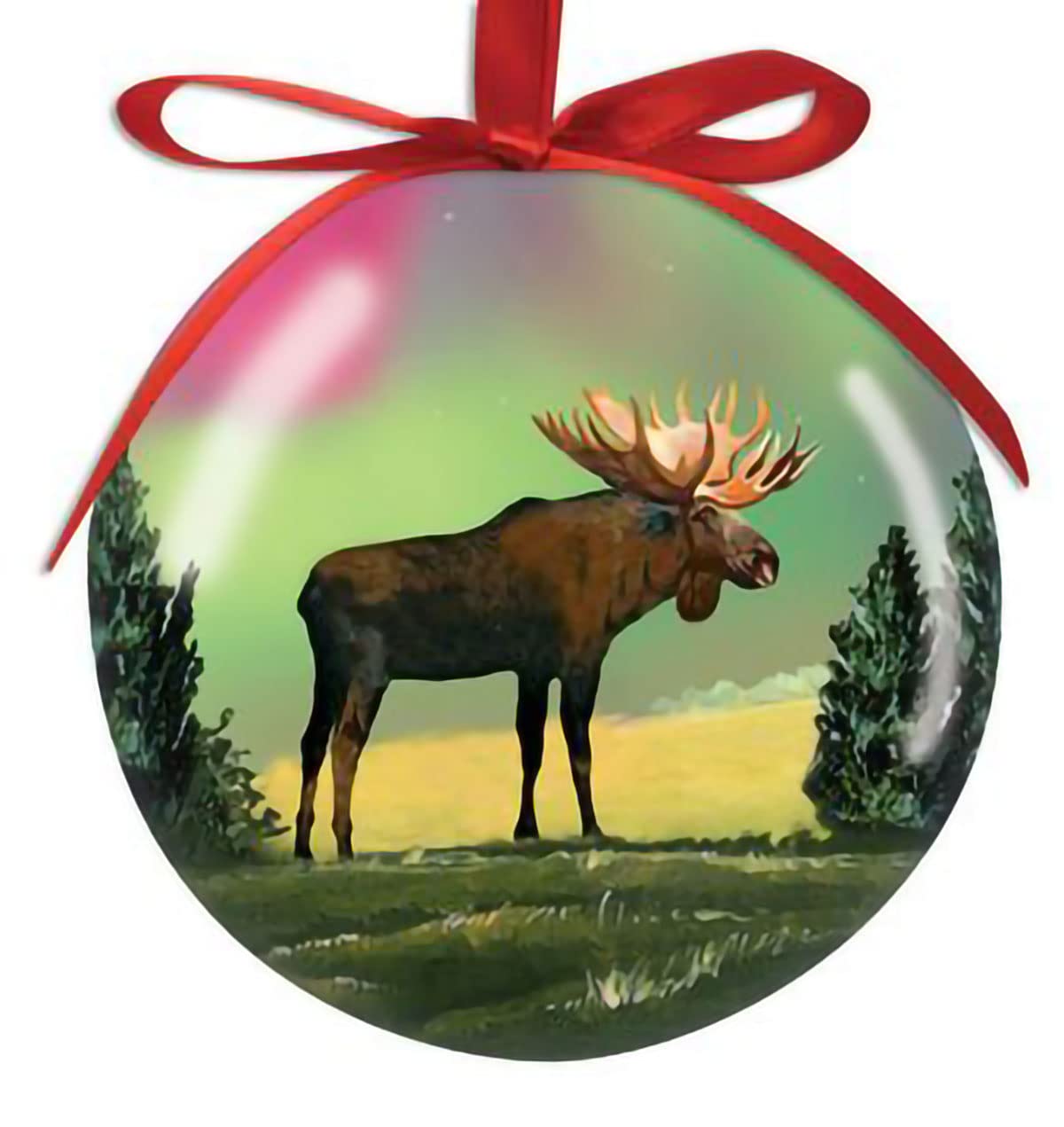 Boules décoratives aurores boréales le cadeau idéal pour gâter vos proches