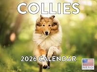 Vista 120 de Calendario de cachorro Golden Retriever 2027 mensual de pared de 12 meses