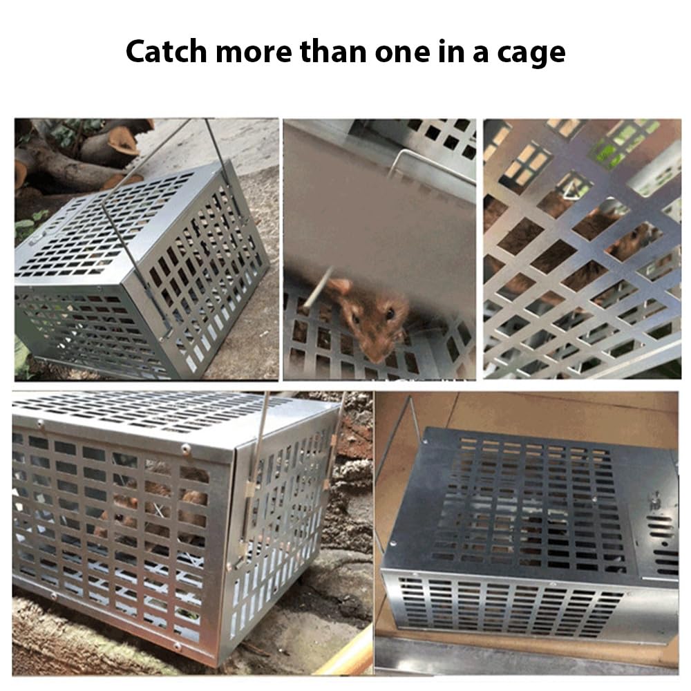 Live podwójne drzwi humanitarny łapacz myszy kontrola wielokrotnego użytku do użytku w pomieszczeniach na zewnątrz małe gryzonie stal ocynkowana srebrny 30x22x15cm