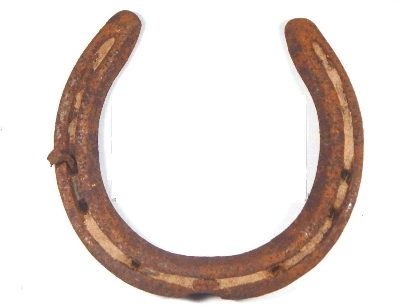 Big Size Kale Ghode Ki Naal with Nails Black Horse Shoe 10 Years Old for Vaastu