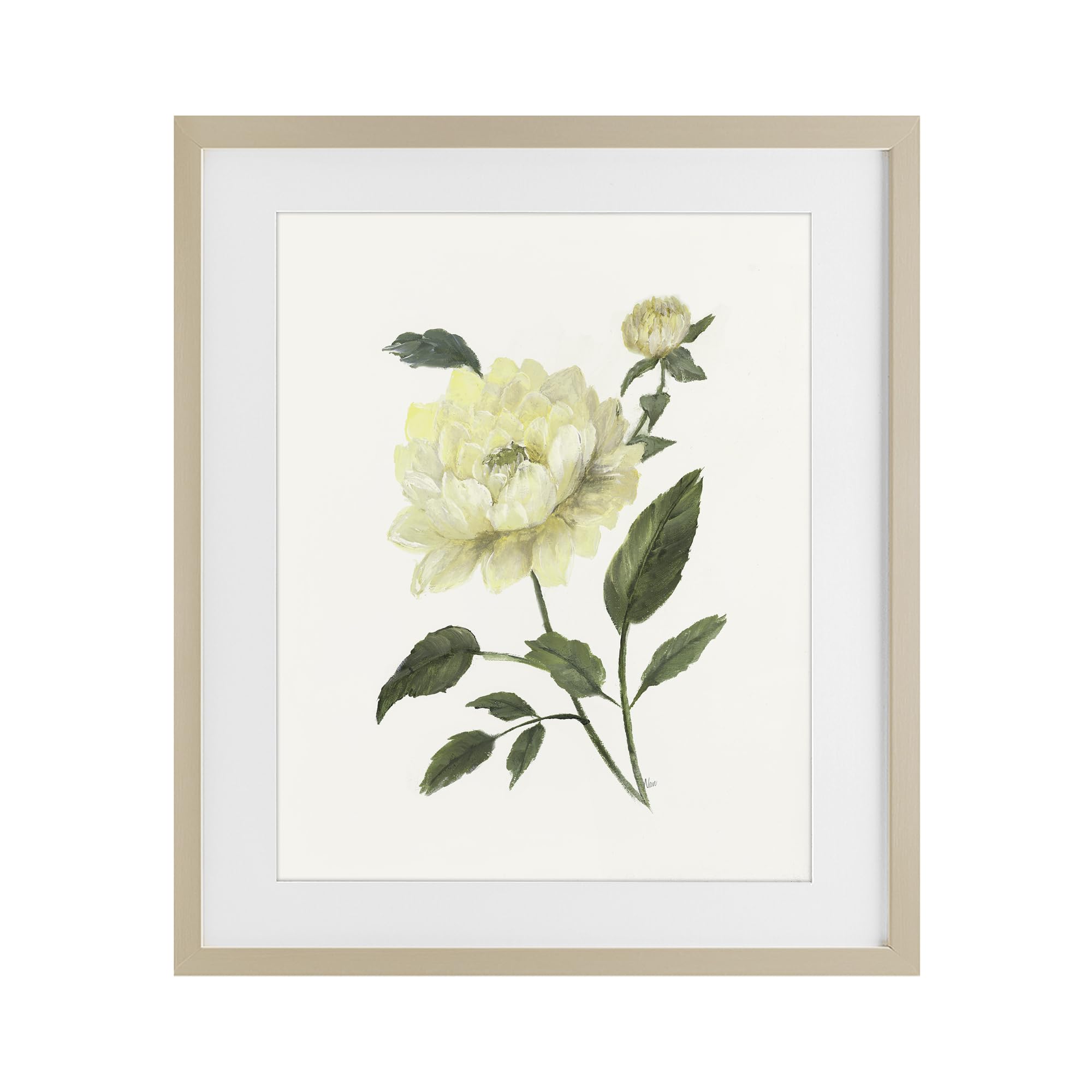 Stupell Industries Harvest Pine (Textured) Cream Peony Botanical Garden, 17 X 21 Inch Framed Print Under Glass
