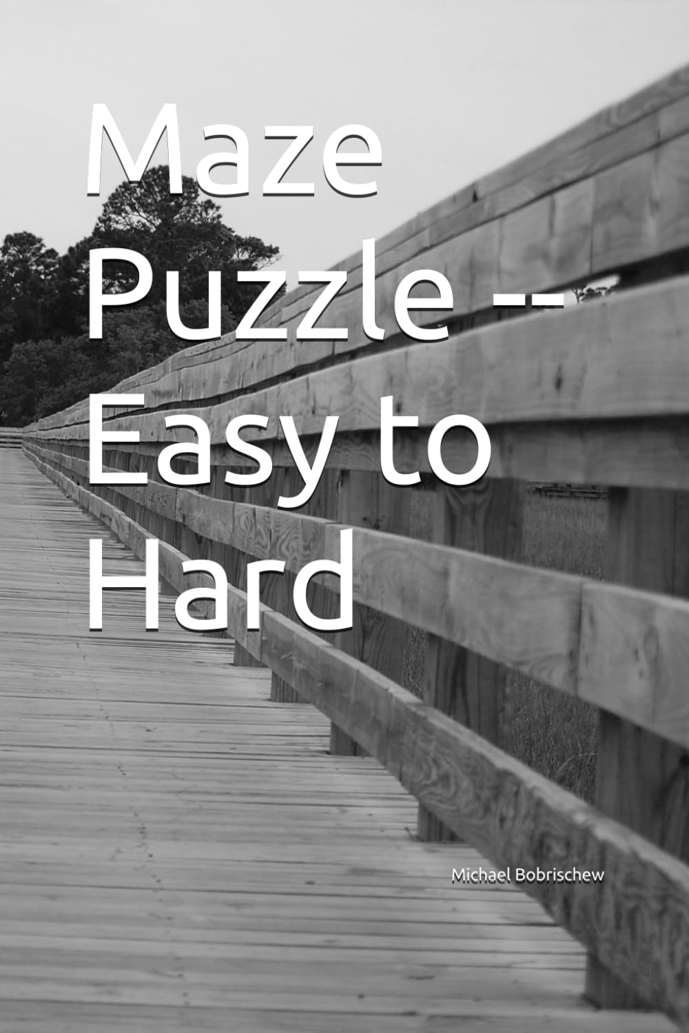 Maze Puzzle -- Easy to Hard