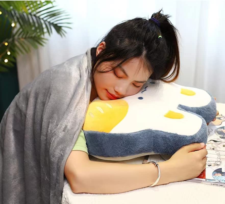 Travel Blanket and Pillow Set, 3-in-1 Girlish Multi-Functional Bag, Throw Pillow, Blanket?Suitable for Airplane, Train Travel, Car Travel, Camping, Office (Blue Haze)