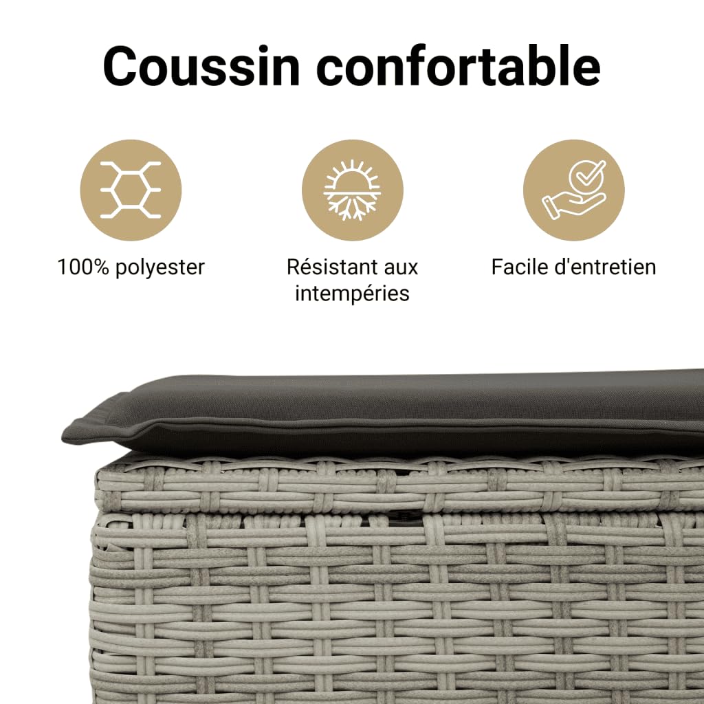 vidaXL Salon de Jardin avec Coussins 10 pcs, Canapés avec Dossier, Ensemble de Meubles, Mobilier de Terrasse Patio, Gris Clair Résine Tressée