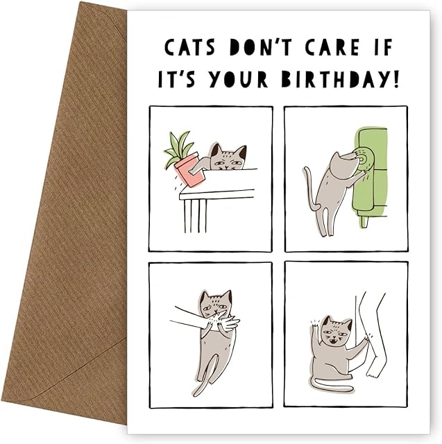 Crazy Cat Birthday Card - Humorous Birthday Cards from the Cat with Scratch, Bite and Claw - Happy Birthday from the Cat for 30th 40th 50th 60th 70th 80th 90th Bday | Funny Grumpy Cats/Kittens