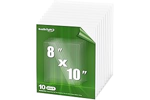 10-Pack 8” x 10” x 0.04” Transparent Pet Plastic Sheets