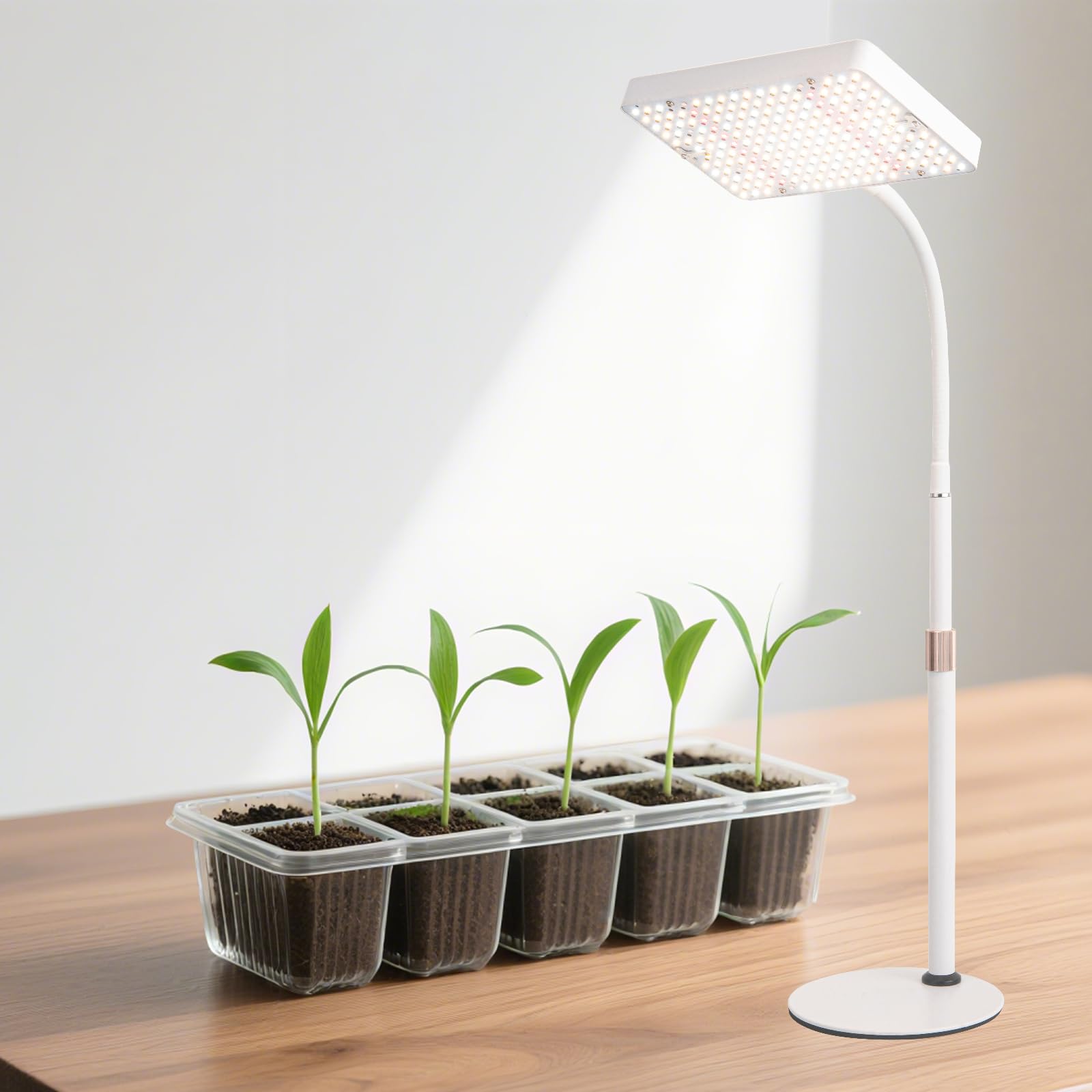 Lampe de culture de table pour le démarrage des graines, 25 W, lumière de bonsaï, hauteur réglable de 40,6 à 61 cm, lampes de culture de bureau pour toutes les plantes d'intérieur, fonction