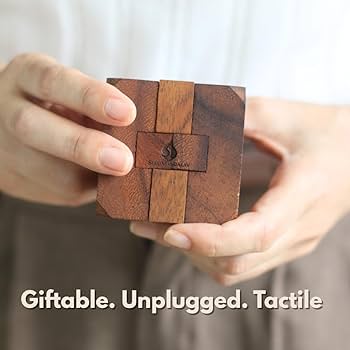 Amazon.com: Hidden Passage Wooden 3D Mechanical Puzzle for Adults