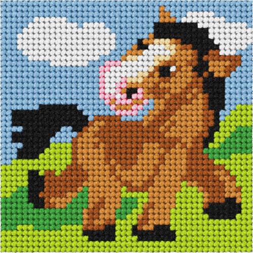 Orchidea Kit de broderie : Ma première broderie : Mini : poney