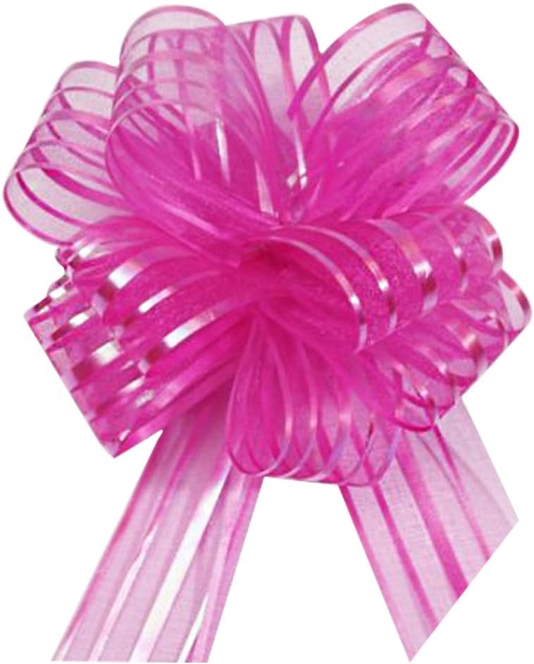 10 x Large 6" Luxury Organza Pull Bows, Beautiful Ribbon, Great for Florist Craft Wedding Pews and Cars. (Fushia)