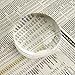 Carson LumiDome Plus 2x Power Acrylic Ball Loupe Magnifier with 2.5 Inch Base (LD-75)