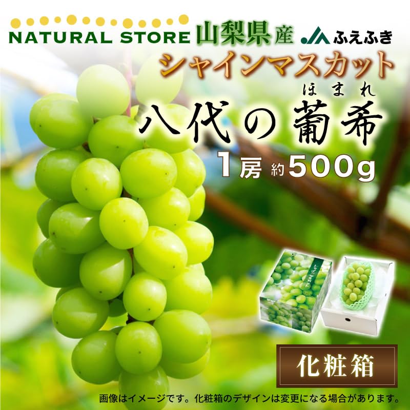 Amazon.co.jp: シャインマスカット 葡希 ほまれ 1房 約500g 八代支所