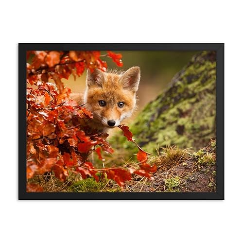 Unique Wall Art For Nursery Baby Red Fox Face and Autumn Leaves In Forest Animal Wildlife Nature Photo Framed Wall Art Prints 18" x 24" Black Frame
