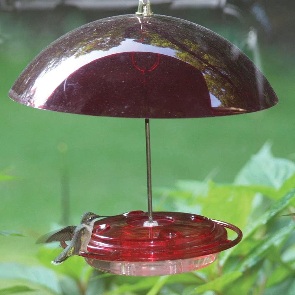 Birds Choice NP3008 Hummerdome Feeder, Hummingbird Nectar Feeder with Ant Moat, 8oz Capacity, Red