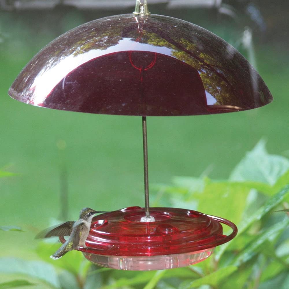 Birds Choice NP3008 Hummerdome Feeder, Hummingbird Nectar Feeder with Ant Moat, 8oz Capacity, Red
