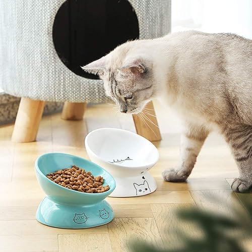 Miniatura 4 de Sweejar Cuencos elevados de cerámica para gatos, platos inclinados para alimentos o agua, cuenco elevado de porcelana para mascotas, protege la