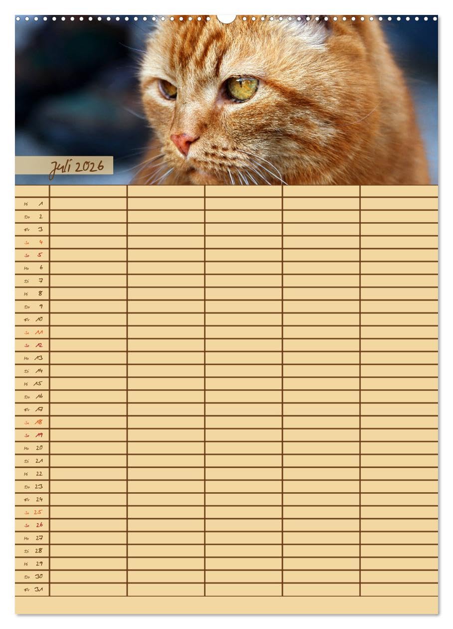 Tierischer Familienplaner (hochwertiger Premium Wandkalender 2026 DIN A2 hoch), Kunstdruck in Hochglanz: Deine tierische Hilfe beim Planen von Schule, Beruf, Haushalt und Freizeit (CALVENDO Tiere)