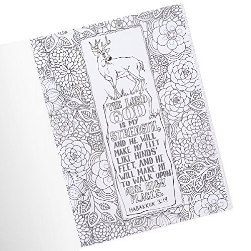 "My Favorite KJV Verses to Color" Inspirational Adult Coloring Book