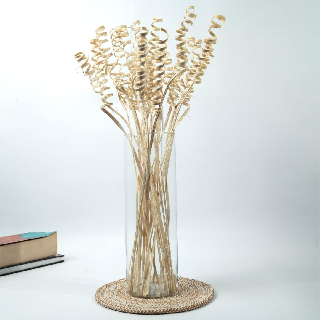 IDIKA Living Dried Cane Spring | Set of 20 Sticks Naturally Curved & Textured for Rustic & Boho Decor | Perfect for Vases, Floral Arrangements & DIY Crafts | Exotic, Lightweight & Everlasting(Natural)-image-31