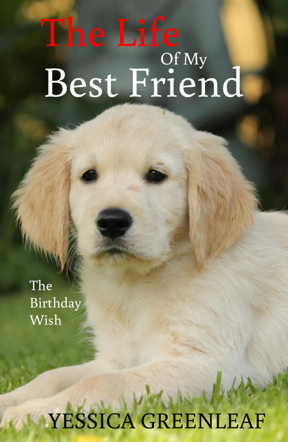 The Life Of My Best Friend: The Birthday Wish