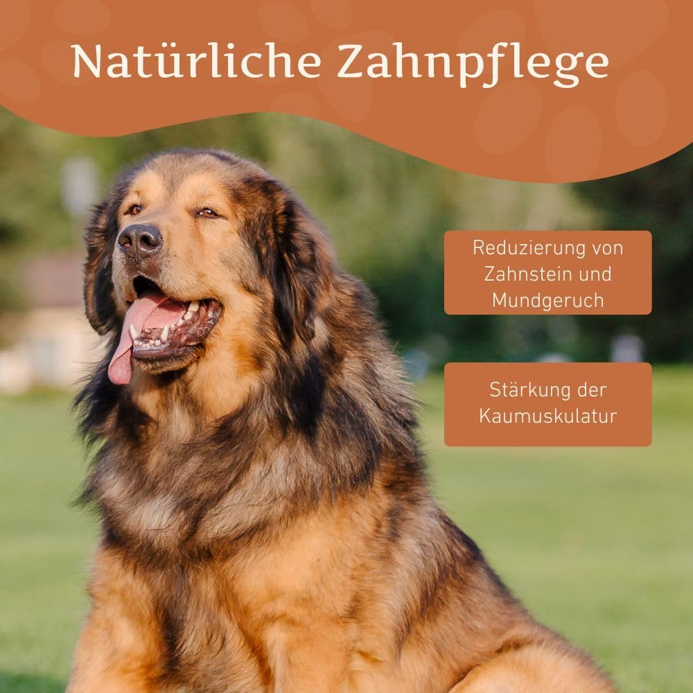 Wildfang® Yak-Käse Kauspielzeug Hund, XX-Groß für Hunde über 45 kg – Zahnpflege-Stick, Hart wie Himalaya Yak-Käse, Churpi-Stil Käse-Sticks, Hundeleckerli & Welpen-Training, ca. 206 g, 6er Pack