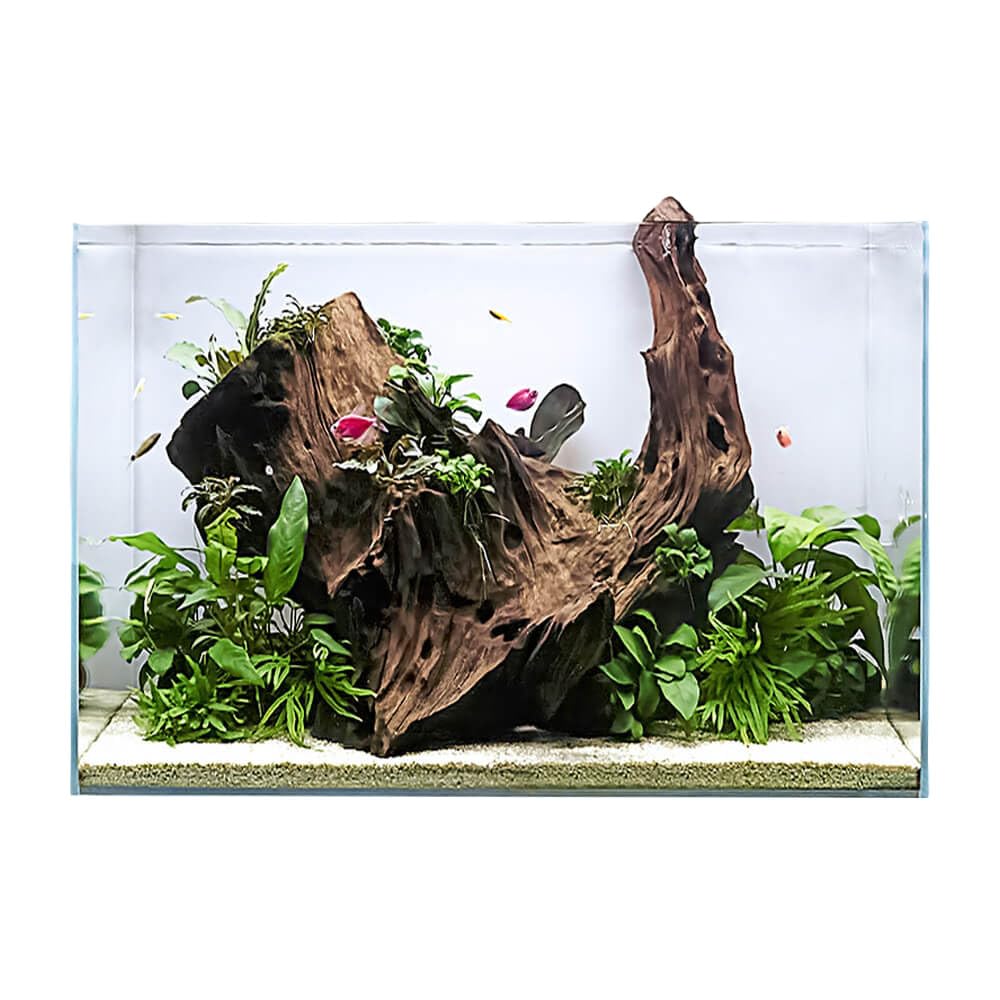 Swell Glass Aquarium Aqua Oasis, Crystal-Clear, 10.8l - 63l Capacity, Customisable Design, for Freshwater and Marine Fish, (60cm)
