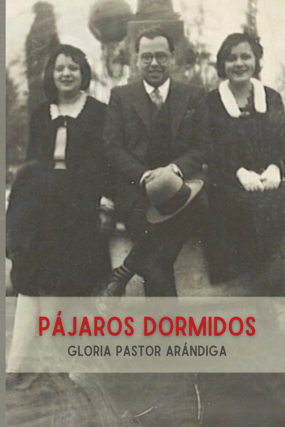 Pájaros Dormidos (Narrativa Histórica)