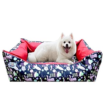 Nootie Lounger Pet Bed | Anti Skid Base (Need More Space Blue, Small)