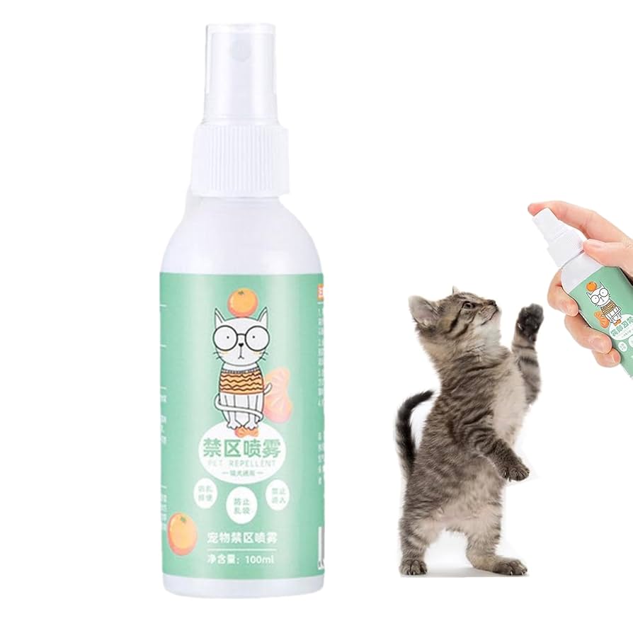 猫の森ページです 猫の森 (@yukiko12191) / X