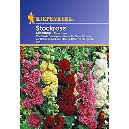 Kiepenkerl Stockrosen-Mischung
