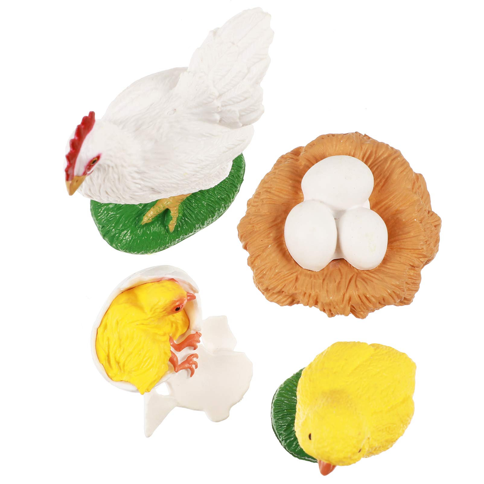 UPKOCH 4pcs Chicken Growth Cycle Figurine Chick Life Cycle Model Shows Life Cycle of a Hen Display Models for Kids Educational Toys