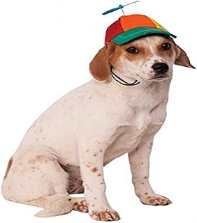dog hats canada