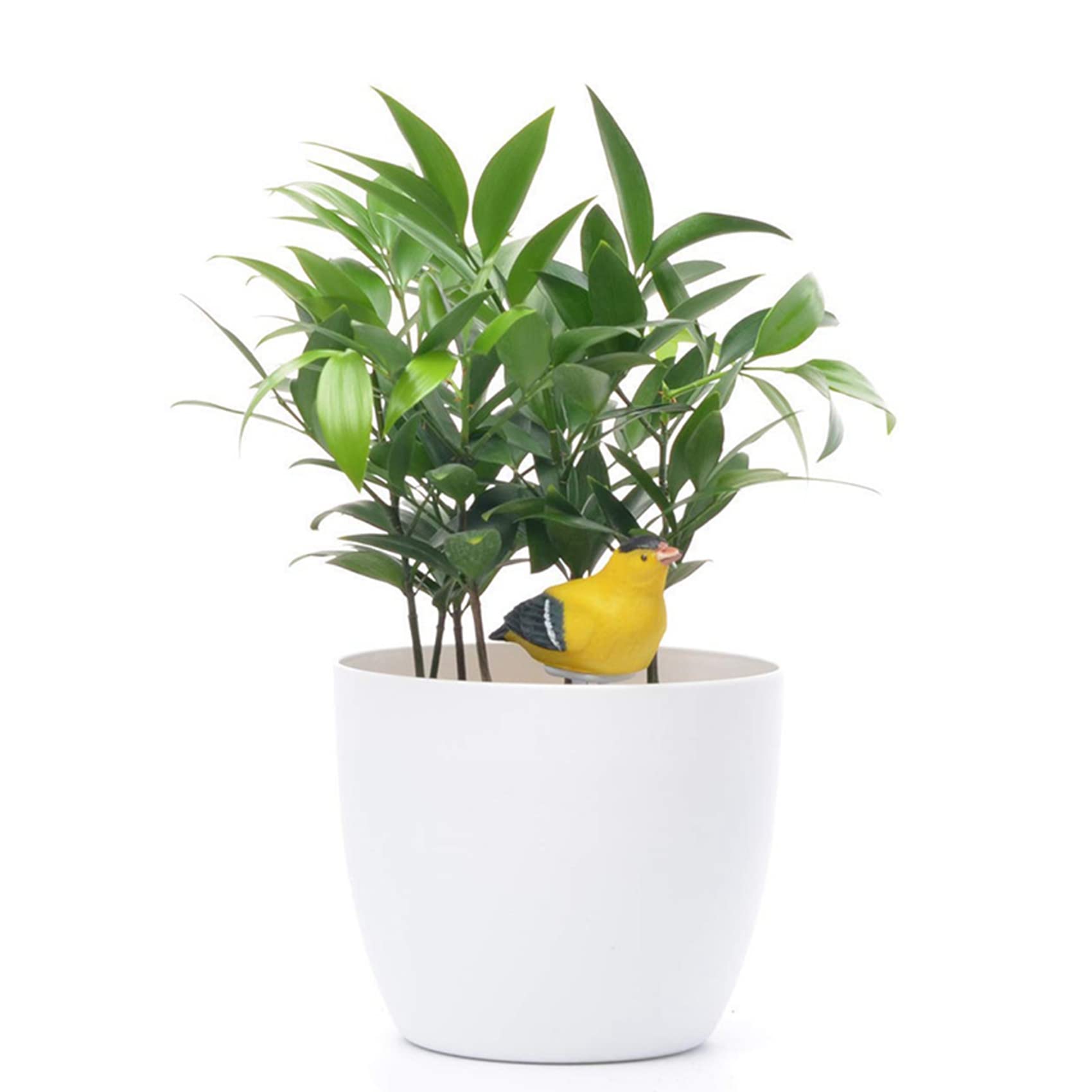 6X Sol HumidimèTre Alarme D'Arrosage Testeur D'Eau des Plantes D'Oiseaux Capteur HygromèTre Trousse de Jardinage pour Planteur Eau Rappelez Warining Alerte (Jaune)