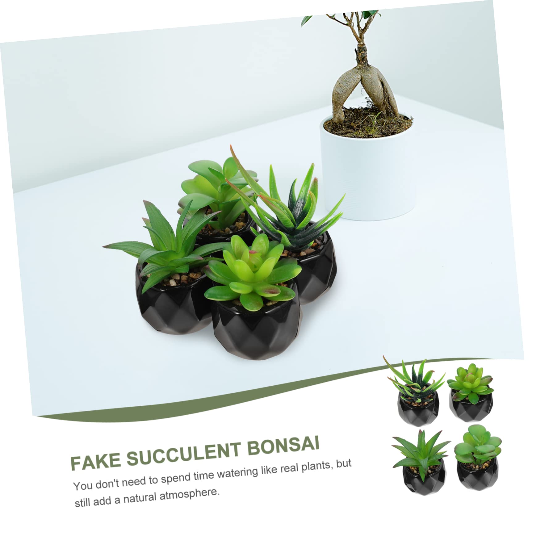 SOLUSTRE 4 Stück Teiliges Set Künstliche Sukkulenten im Topf Realistische Bonsai Dekoration für Wohnzimmer Büro Küche und Schlafzimmer für Pflegeleichte Innenräume