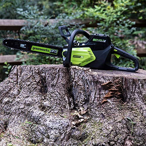 Greenworks Pro 80V 16 inch Brushless Chainsaw with 2Ah Battery and Charger Included, CS80L211