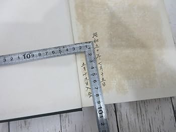 Amazon | yo 日本拳法 改訂版 澤山宗海 NIPPONKEMPO