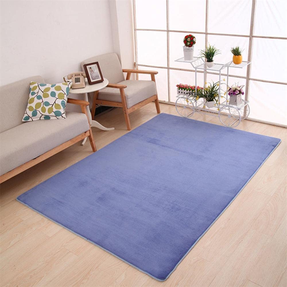 Tapis de velours corail bleu DASHADAO grand format antidérapant pour salon et chambre moderne