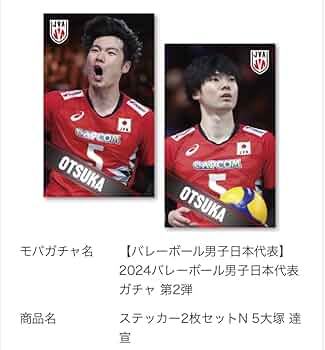 バレーボール男子日本代表 2024 公式 大塚達宣選手 mini色紙 66 【大塚達宣】2024 バレーボール男子日本代表 トレーディング
