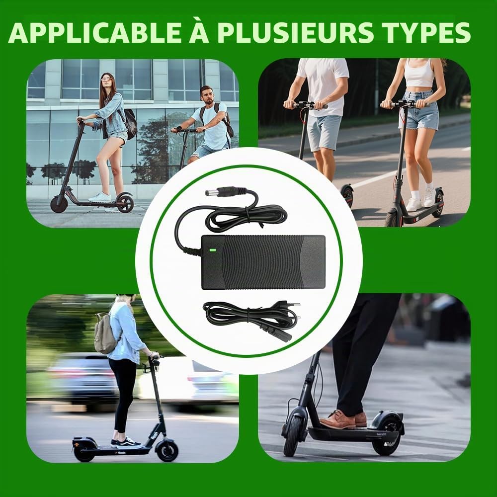 Chargeur Trottinette électrique, 42V 2A Chargeur Hoverboard, Charge Rapide pour Hoverboard, Bici Equilibrata, Scooter électrique, E-Bike DC 5,5 x 2,5 MM