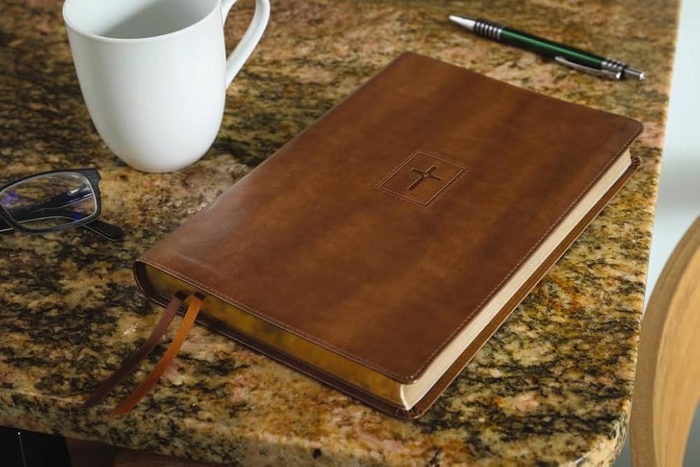 Zondervan NIV THINLINE BIBLE 聖書 NIV, Thinline Bible, Large Print, Leathersoft, Brown, Red