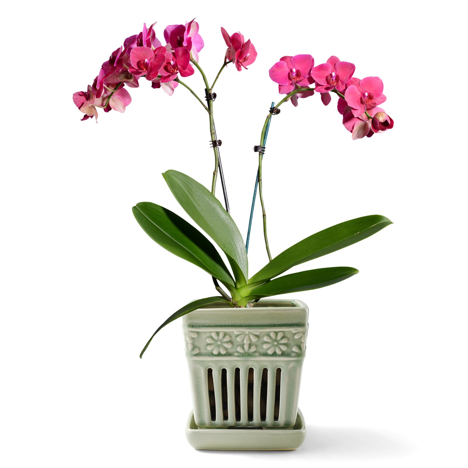SUADEN Green Square Ceramic Orchid Pot 5.1 Inch