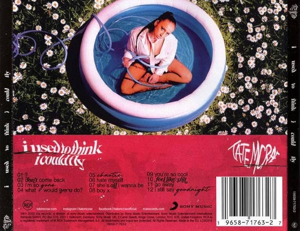 【新品未開封】【レコード】I Used to Think I Could Fly Amazon.co.jp: i used to think i could fly: ミュージック