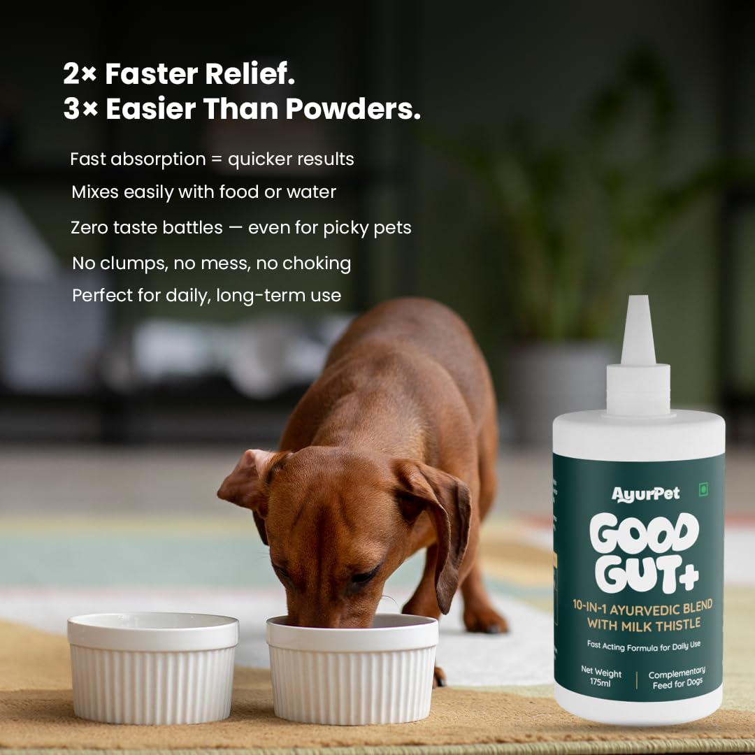 GoodGut+ Digestive Enzymes & Prebiotics for Dogs - 175ml — Amazon image 4