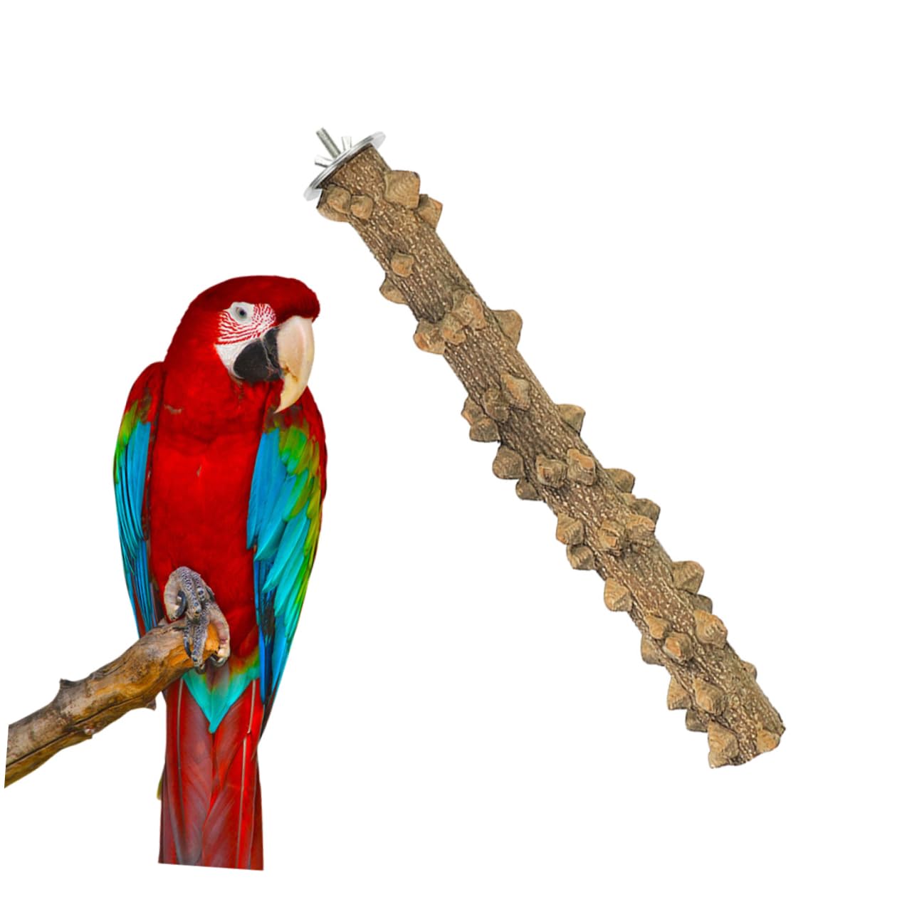 DOITOOL 3pièces Perchoir Bois Naturel pour Oiseaux Jouet Et Stand De Jeu pour Perroquets Cockatiels Conures Et Autres Petits Oiseaux