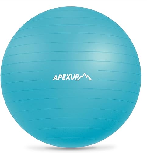 Miniatura 15 de APEXUP Pelota de Yoga Pelota de Ejercicio Antideslizante Resistente para Fitness, Equilibrio y Entrenamiento del Core Negro,Azul,azul rosa,Azul