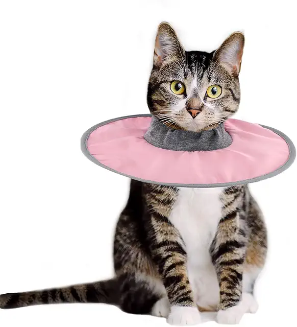 Adjustable Waterproof Recovery Collar for Cats - Pink Protective E-Collar