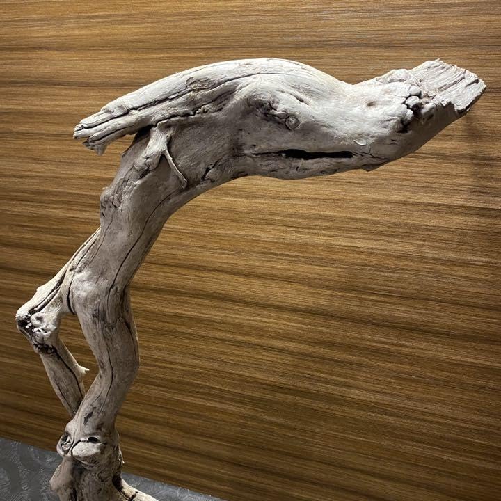 龍神ブランドの超レアアンティーク流木 龍神ブランドの超レアアンティーク流木